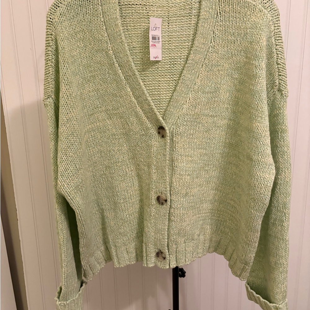 LOFT Women's Mint Green Sweater